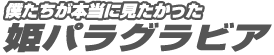 僕たちが本当に見たかった 姫パラグラビア!!